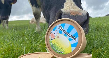 Image shows cartons of ice-cream with a cow in a field nudging one of the cartons