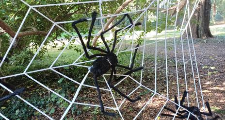 Halloween fun at Mount Stewart