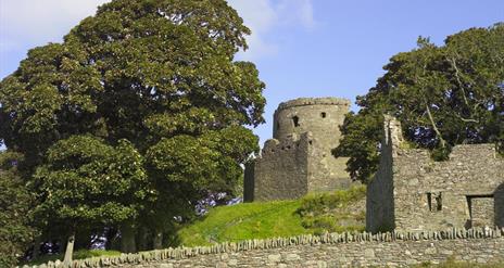 View from Dundrum Castle