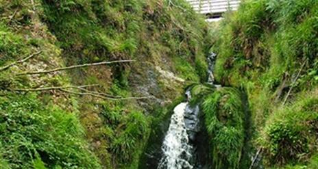 Gortin Forest Nature Trail