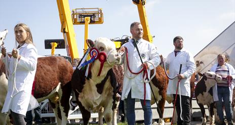 Amazing line-ups of livestock, show jumping, machinery and the latest innovations in agriculture.