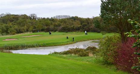 Photo of golfers in play on the green