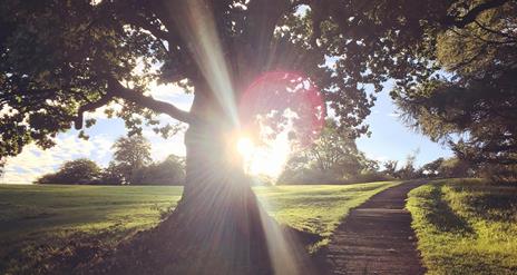 Barnett Demesne