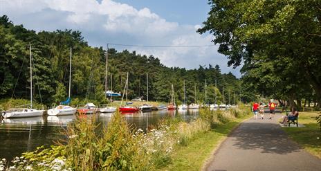 Families on a riverside path with many docked boats.