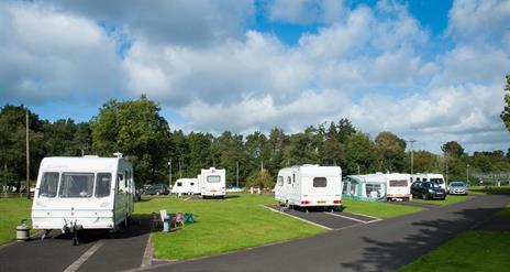 Caravans and cars parked in lots in a grassy area.
