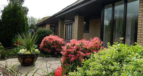 Front garden filled with decorative plants.