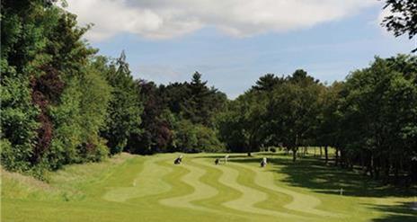 Image is of a golf course with players in the distance