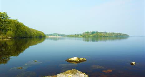 Castle Archdale Forest Walk