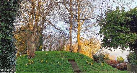 a photograph of the motte surrounded by some trees