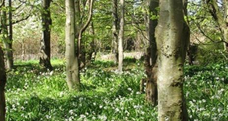 Carnfunnock Biodiversity Walk