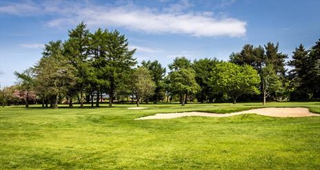 Shandon Park Golf Club