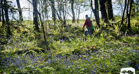 Cladagh Glen Walk