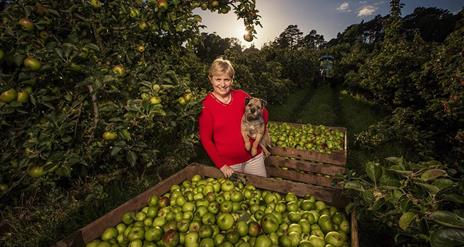 Armagh Apple Farm