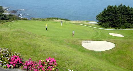 Photo of golfers in play on the green with waters of Belfast Lough in background