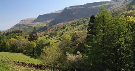 Glenariff Forest Park, Rainbow Trail