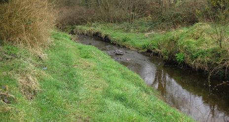 Killyclogher Burn