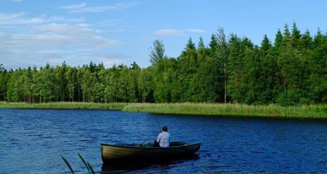 Coarse Angling Lough Catherine