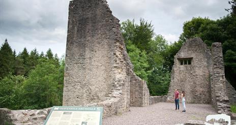 Castle Archdale Forest Woodland Riverside Walk