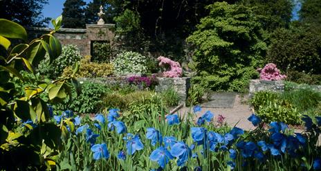 Rowallane Garden, Saintfield