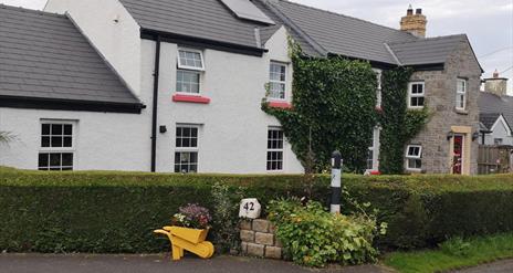 A roadside view of a two-story house covered in decorative ivy.