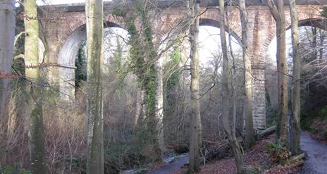 Crawfordsburn Country Park, Glen Walk