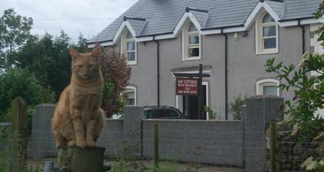 Front exterior of BnB with a sign and an orange cat.