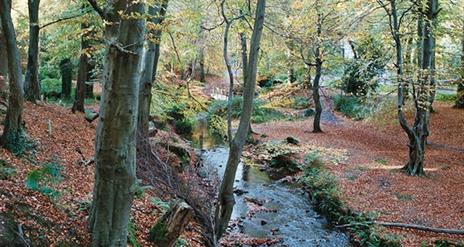 Crawfordsburn Country Park, Meadow Walk