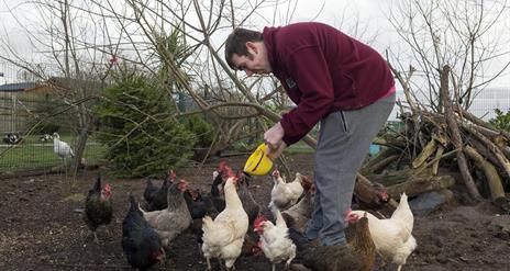 Carrickfergus Urban Farm & Garden Centre