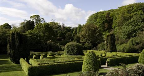 Seaforde Gardens and Tropical Butterfly House