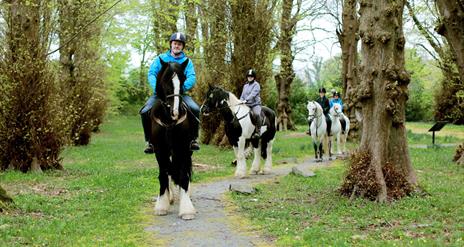 Wild Horse Adventure