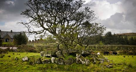 Loughmacrory Wedge Tomb