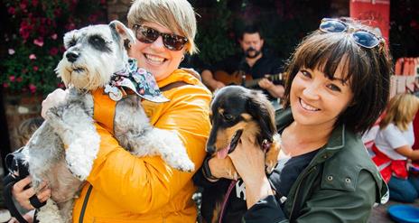 Dog Friendly Food Tours Belfast