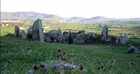 Ballymacdermot Court Tomb