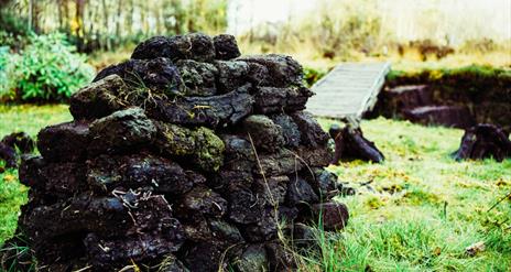Bogland: Past, Present, Future