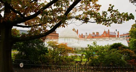 Belfast Botanic Gardens and Palm House
