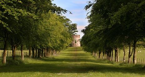 Springhill House - Woodland Walk