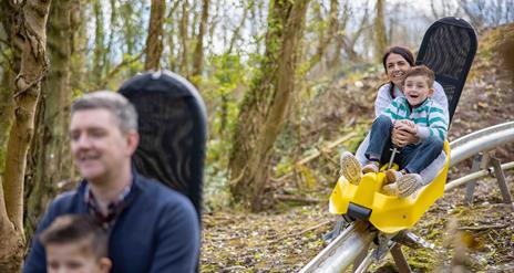 Black Bull Run, Ireland's First Alpine Coaster. Colin Glen, Mountain Entrance.