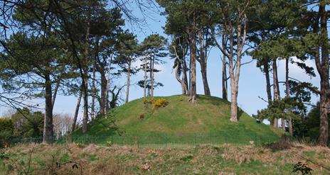 Shandon Park Mound