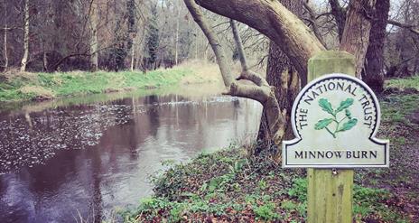 Minnowburn and Giant’s Ring