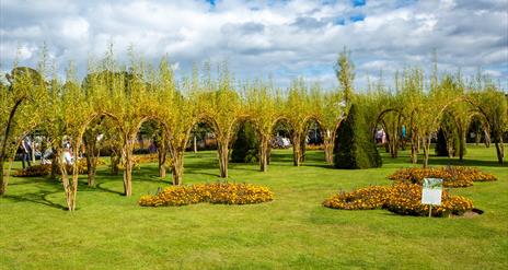 Bangor Castle Walled Garden