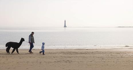 Cranfield West Beach