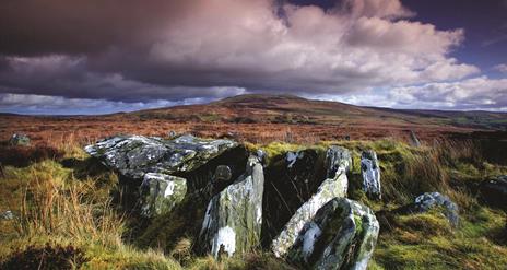 Clogherny Wedge Tomb