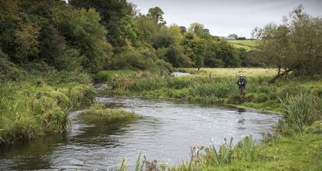 Flying fishing rods, in Ballymoney, County Antrim