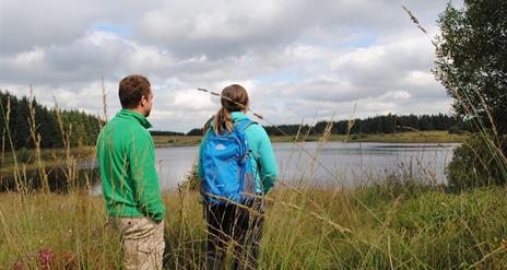 Jenkin Forest and Lakes