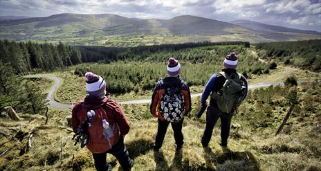 Three hikers standing on a grass hill overlooking mountains and trees