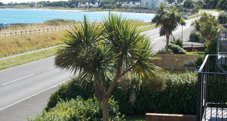 Front garden and roadway