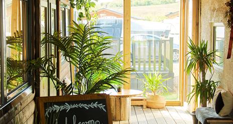 Two Twenty Coffee House