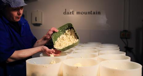 Cheesemaker Julie, making Cheese at Dart Mountain Cheese in Derry. She is filling the cheese molds with curd.