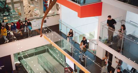 Explore the Ulster Museum collections after hours at their Museum Late