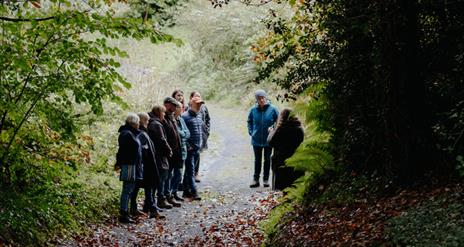 Autumn Foraging at the Ulster Folk Museum